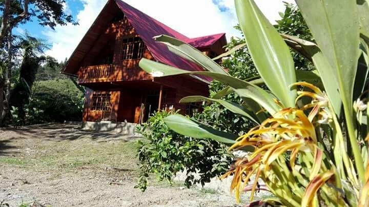 La Cabaña de Noa Oxapampa Exterior foto